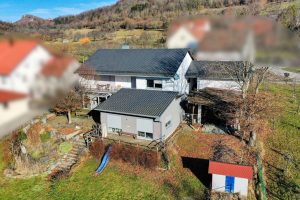 Schlaifhausen | Drone Anbau