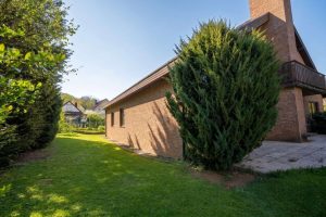 Garten hinter dem Haus