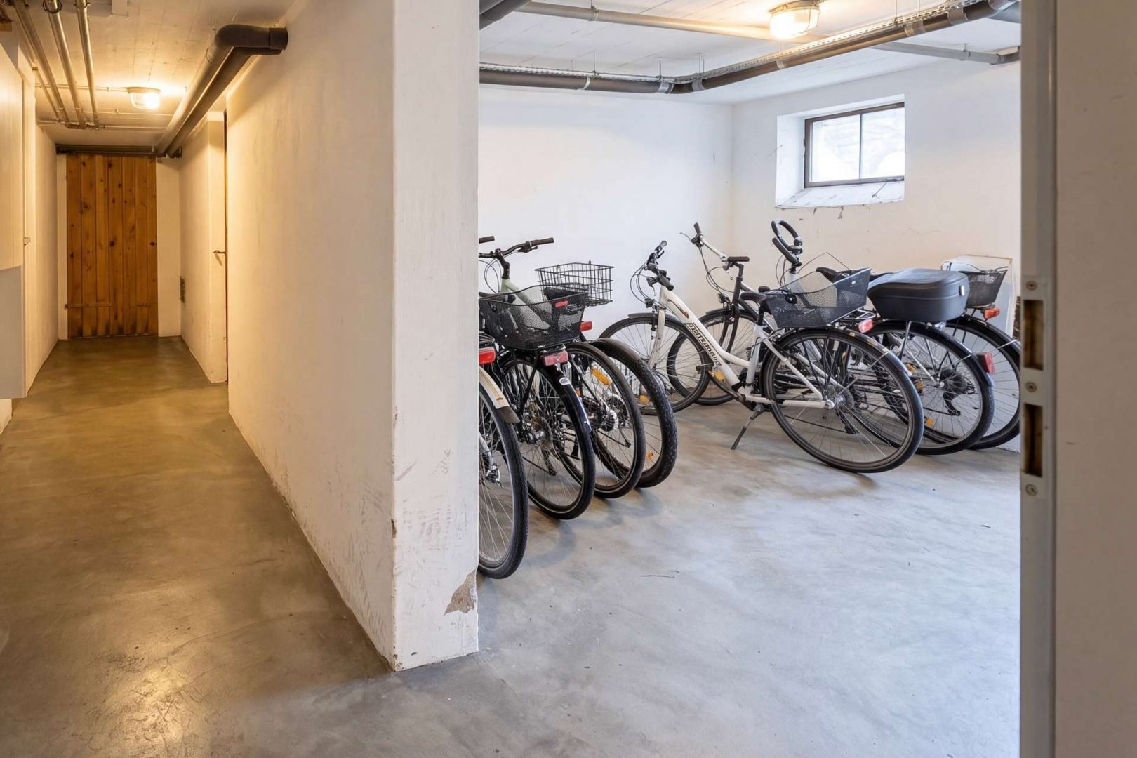 Firefly (14)