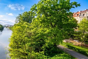 Die Regnitz Nahe der Wohnung