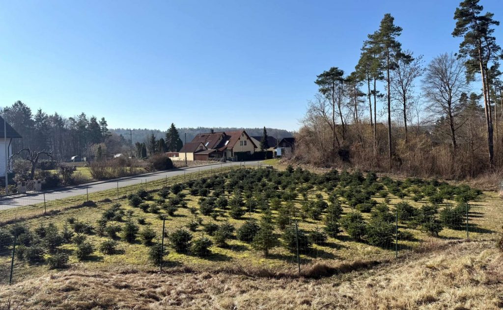 Grundstück mit Blick zur Strasse