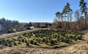 Grundstück mit Blick zur Strasse